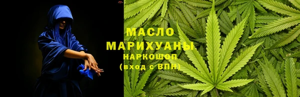 гидра Богородицк