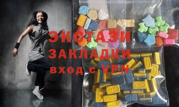 гидра Богородицк