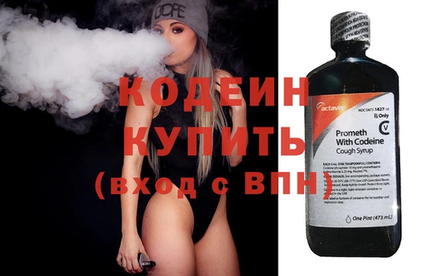 гидра Богородицк