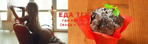 гидра Богородицк