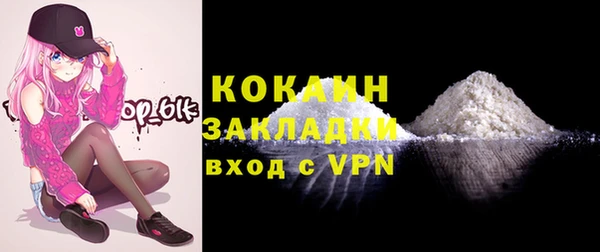 гидра Богородицк
