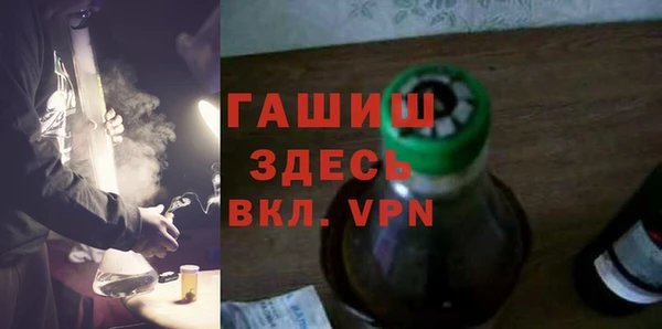 гидра Богородицк