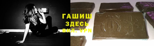 гидра Богородицк
