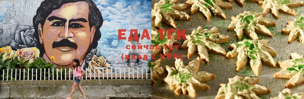 гидра Богородицк