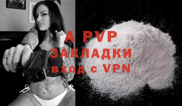 apvp Богданович