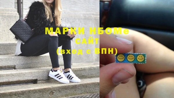 гидра Богородицк