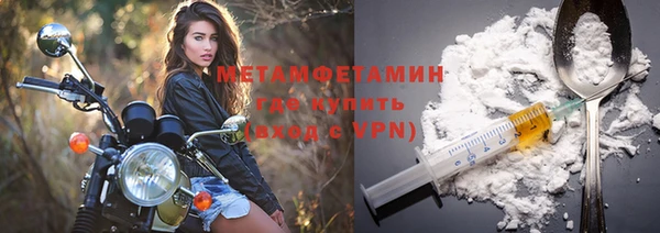 гидра Богородицк