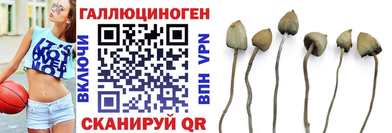 Галлюциногенные грибы мицелий  Купить  Мензелинск 